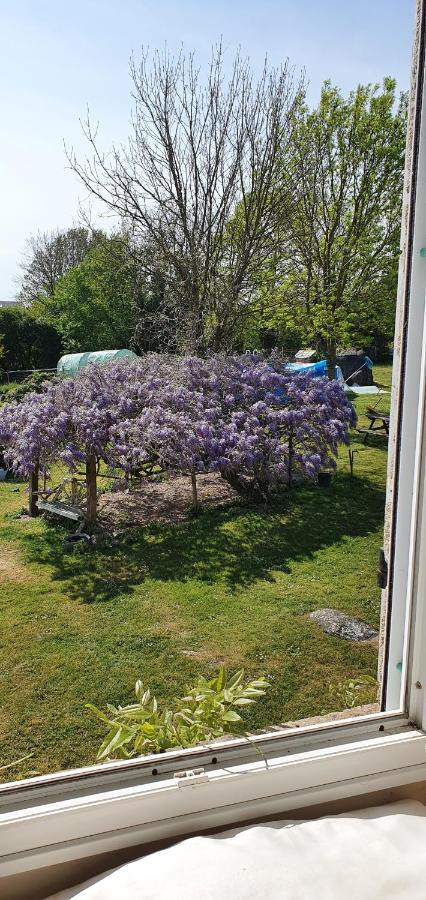 Wisteria House Panzió Chanteloup  Kültér fotó
