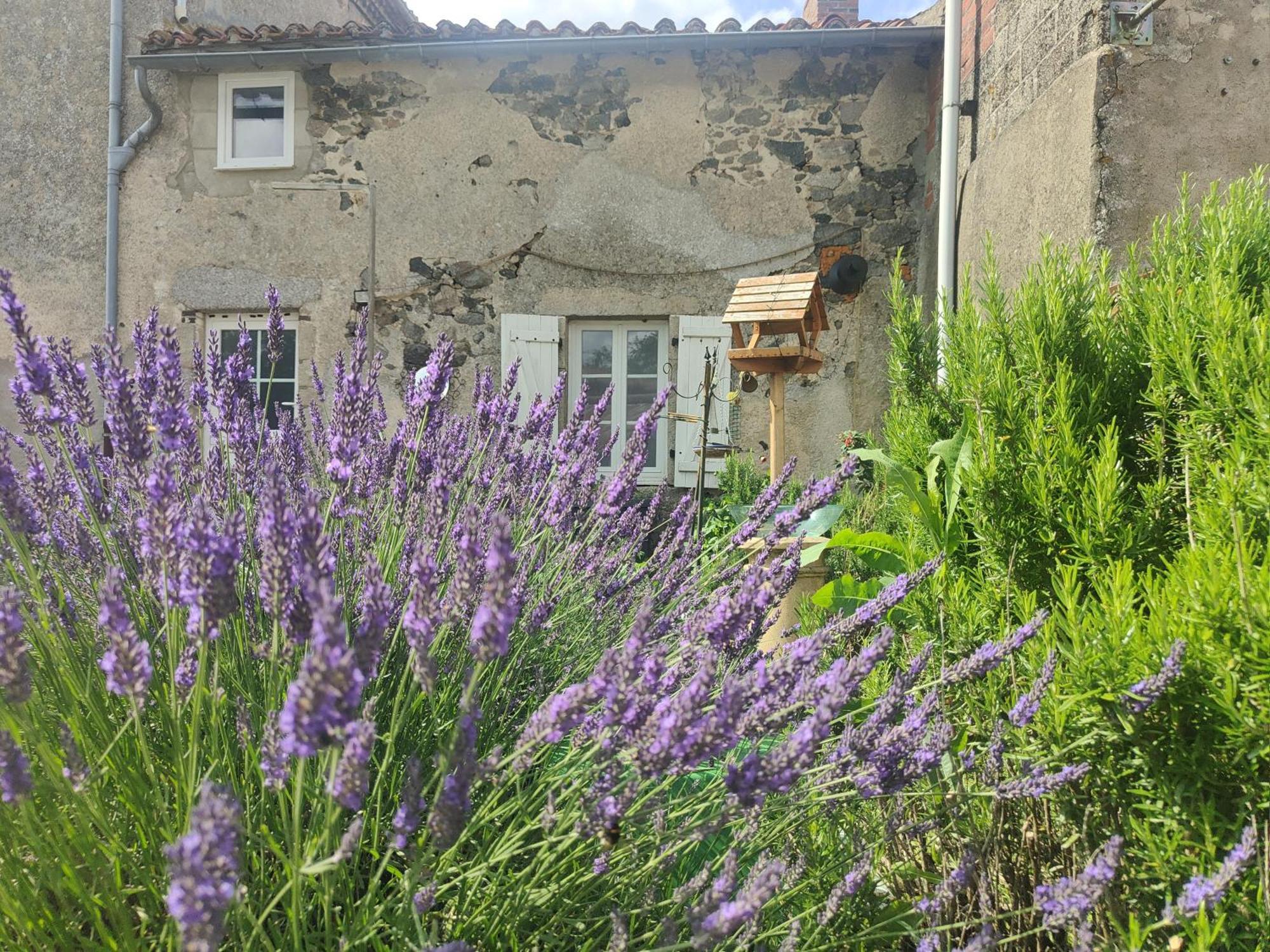 Wisteria House Panzió Chanteloup  Kültér fotó